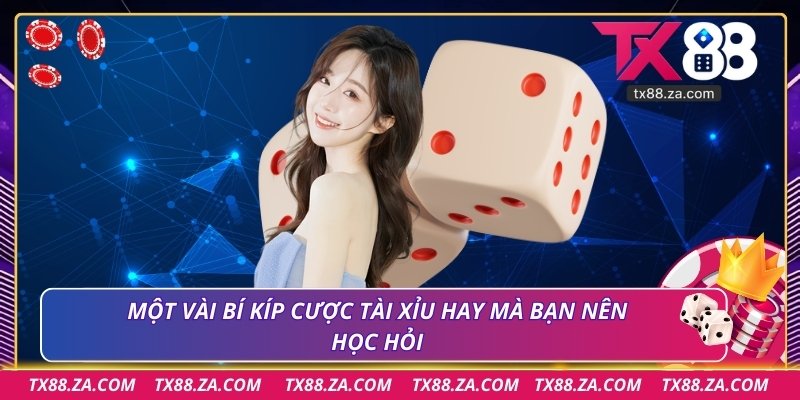 Một vài bí kíp cược tài xỉu hay mà bạn nên học hỏi
